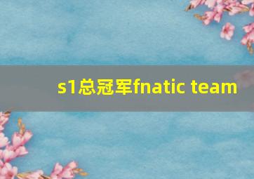 s1总冠军fnatic team